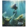 Тетрадь Школярик World of Magic 96 листов клетка (096-3431K)