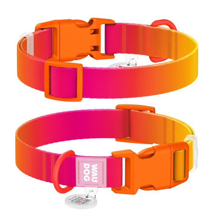 Ошейник для животных WAUDOG Nylon Recycled с QR паспортом, градиент, XL голубой (47032)