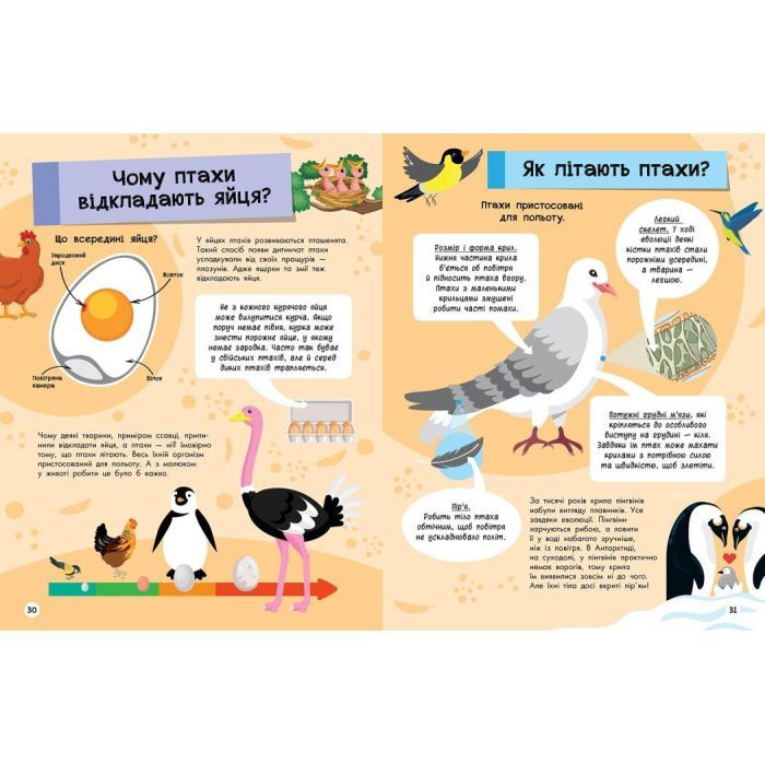 Книга Велика енциклопедія для чомусика Ранок (9786170976307) зображення 3