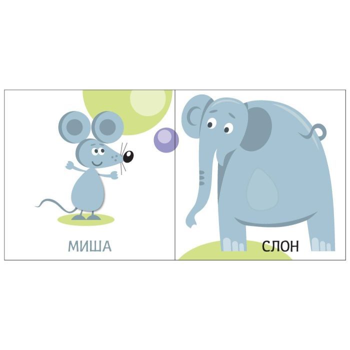 Книга Яскравий світ. Розміри Ранок (9789667511470) зображення 2