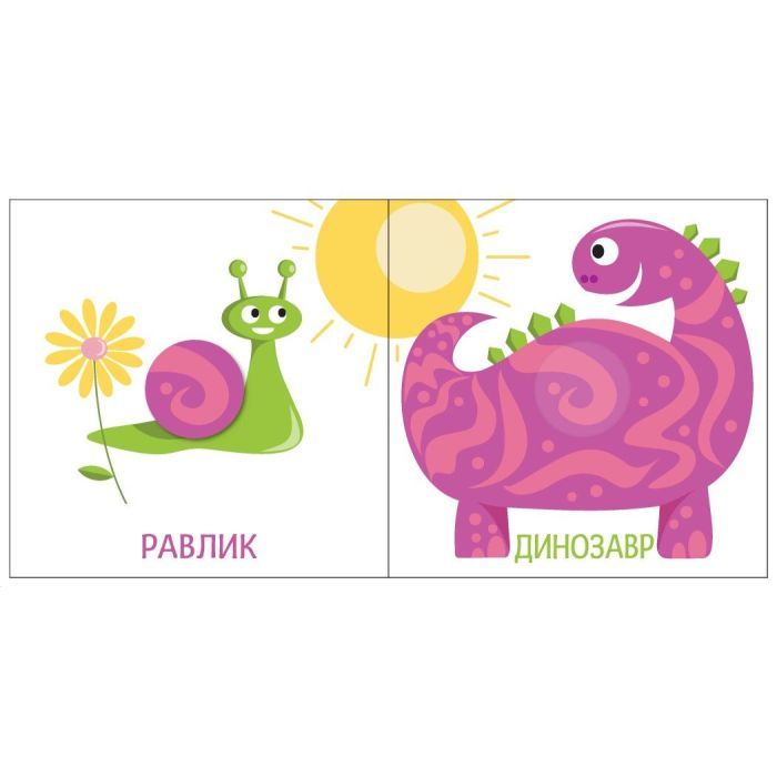 Книга Яскравий світ. Розміри Ранок (9789667511470) зображення 3