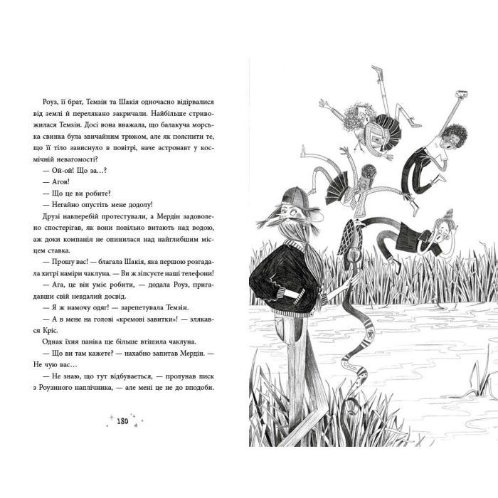 Книга Чарівник у моєму сараї - Саймон Фарнабі Ранок (9786170996190) изображение 12