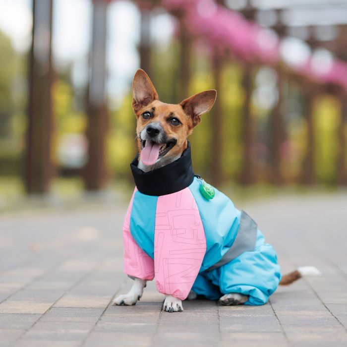 Комбінезон для тварин Pet Fashion Milly S3 (4823082439836) зображення 4