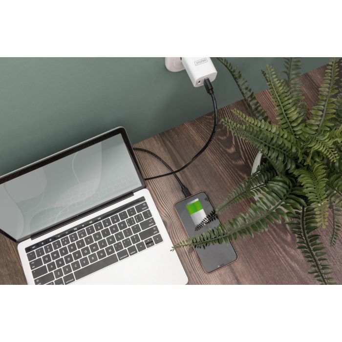 Дата кабель USB 2.0 AM to USB-C 3.0m black Digitus (AK-300148-030-S) изображение 3