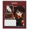 Тетрадь Kite Harry Potter, 12 листов, косая линия (HP26-235) изображение 2