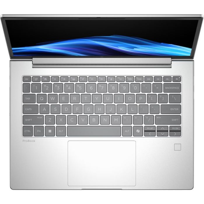 Ноутбук HP ProBook 4 G1i 14 (D0VG6ET) зображення 4