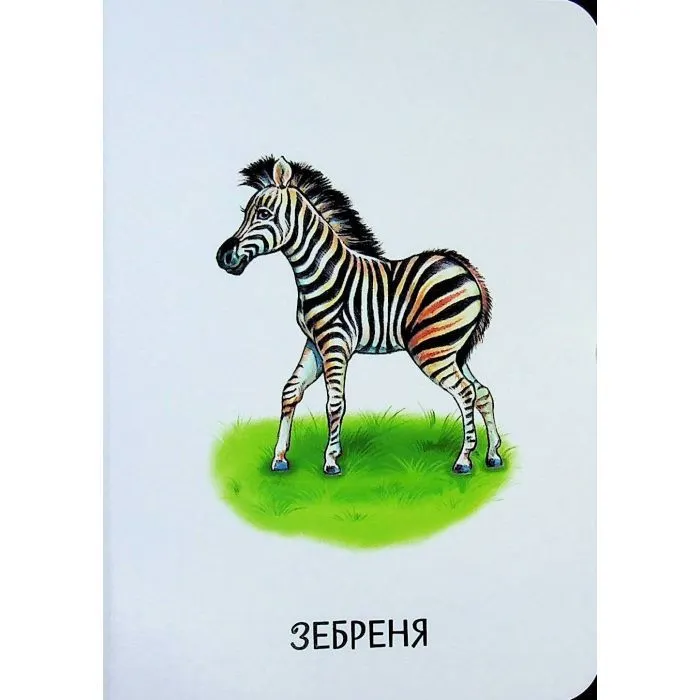 Книга 22 картинки. Мами і дитинчата Ранок (9786178773786) зображення 12