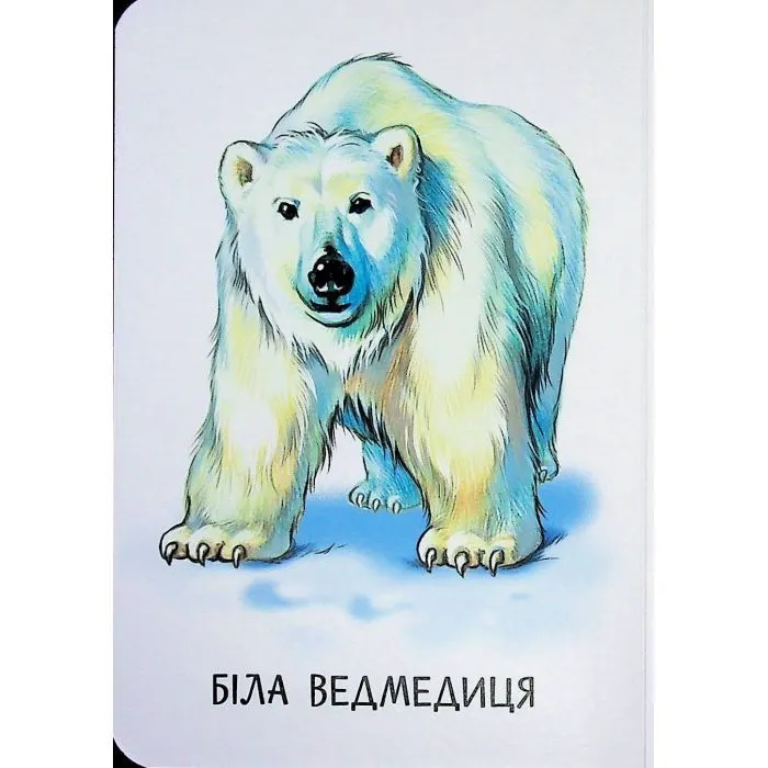 Книга 22 картинки. Мами і дитинчата Ранок (9786178773786) зображення 3