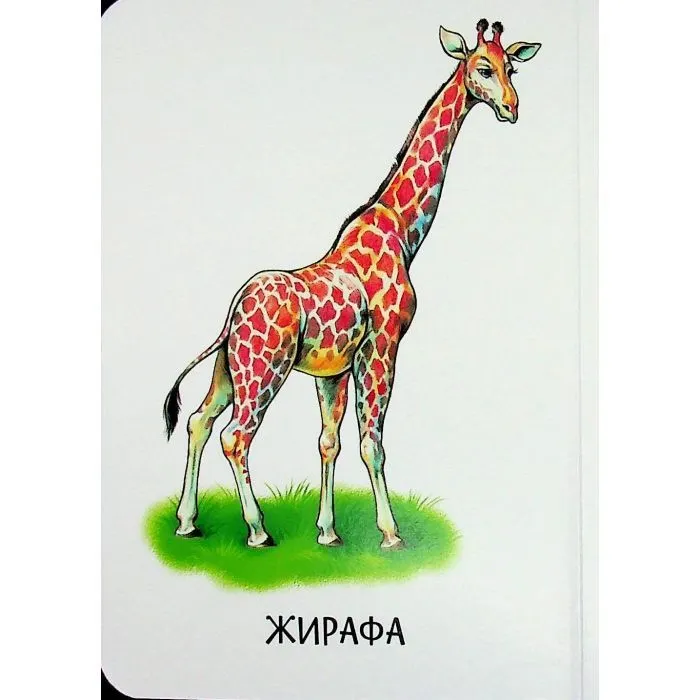 Книга 22 картинки. Мами і дитинчата Ранок (9786178773786) зображення 5