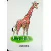 Книга 22 картинки. Мами і дитинчата Ранок (9786178773786) зображення 5