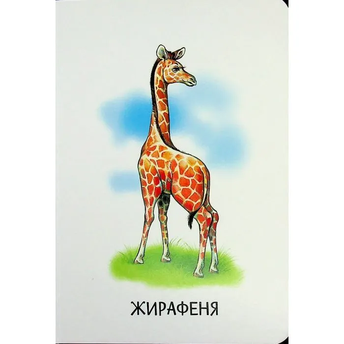 Книга 22 картинки. Мами і дитинчата Ранок (9786178773786) зображення 6