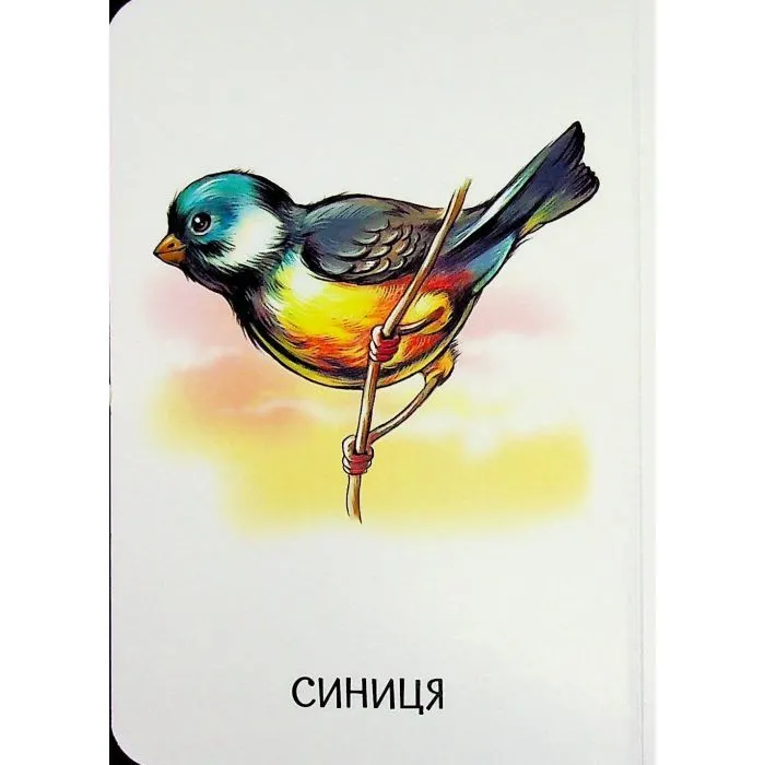 Книга 22 картинки. Мами і дитинчата Ранок (9786178773786) зображення 7