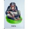 Книга 22 картинки. Мами і дитинчата Ранок (9786178773786) зображення 9