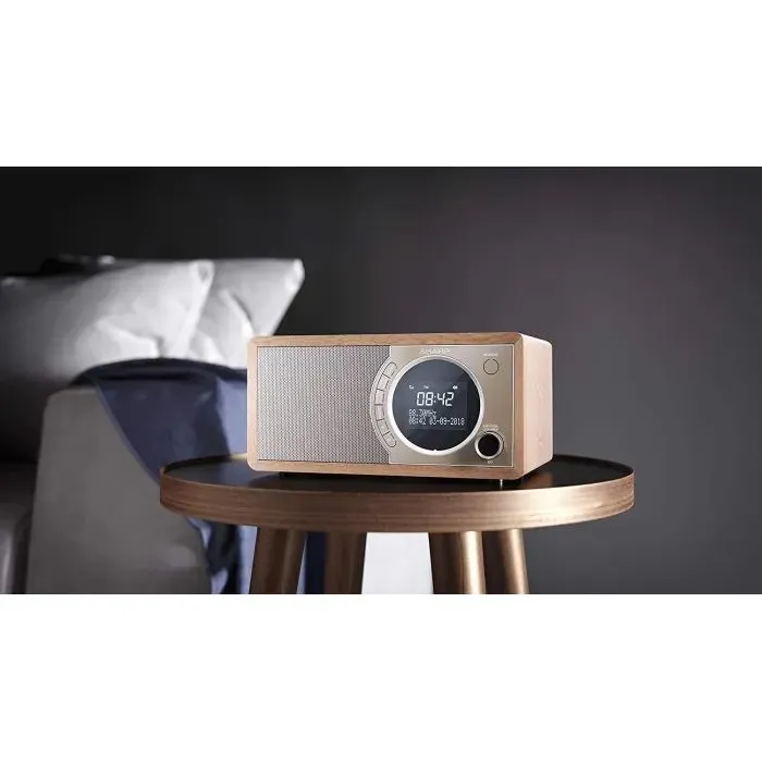 Портативний радіоприймач Sharp DR-450 Beige (DR-450BR) зображення 5