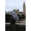 Парасоля Fulton L501-042311 Tiny-2 London Sketch (L501-042311) зображення 6