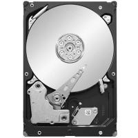 Жесткий диск 3.5" 1TB Seagate (ST31000524AS)