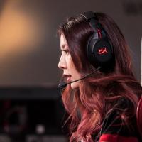 Навушники HyperX Cloud Flight Wireless Gaming Headset for PC/PS4 Black (HX-HSCF-BK/EM) зображення 10