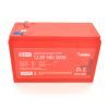 Батарея LiFePo4 Merlion LFP12.8-9EB