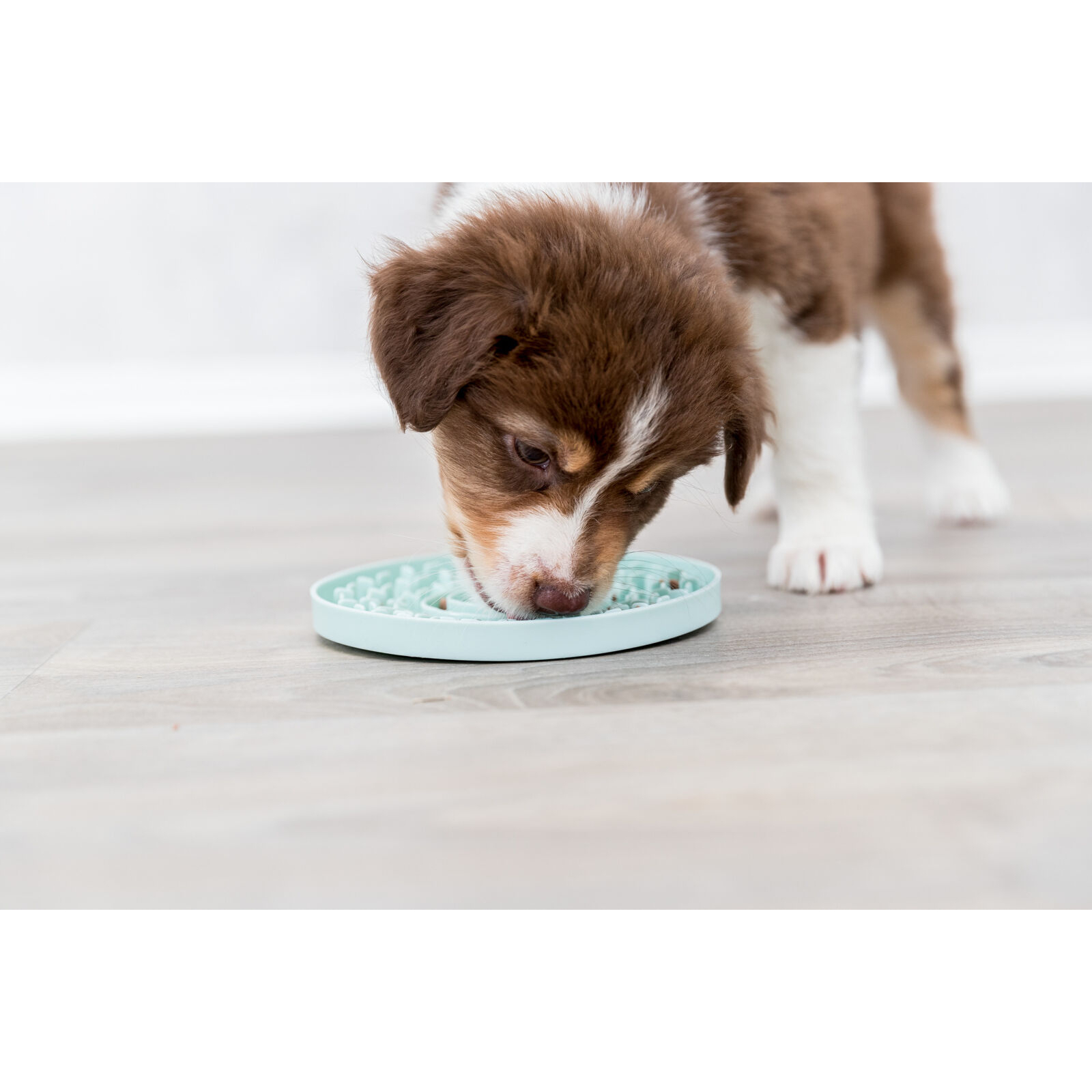 Посуд для собак Trixie Миска «Junior» для повільного годування 21 см (м'ятний) (4011905349589) зображення 5