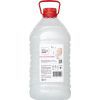 Жидкое мыло Biossot NeoCleanPro Весенние цветы 5 л (4820255110103)