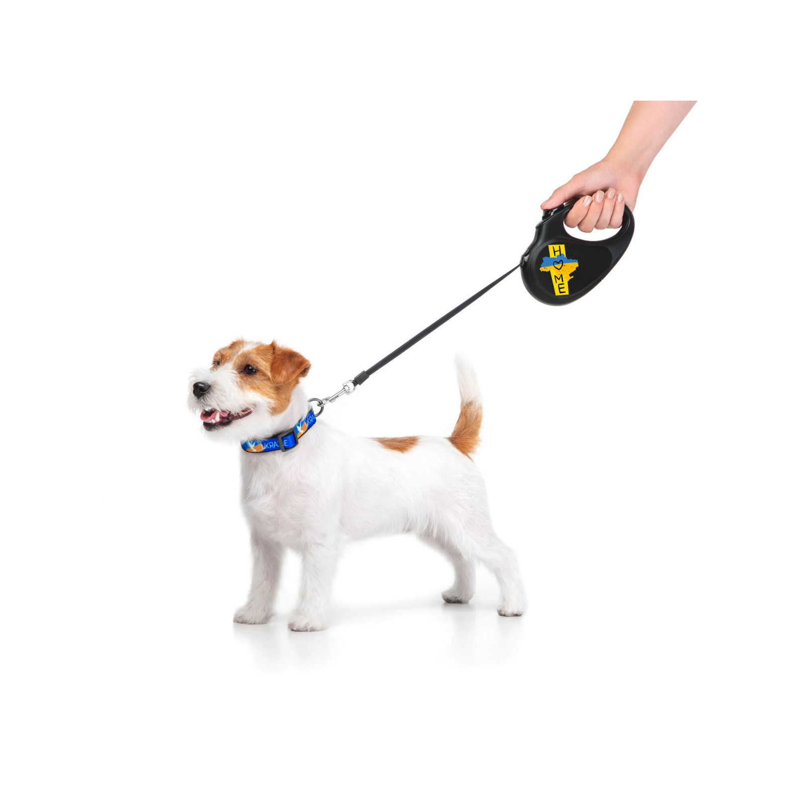 Повідок для собак WAUDOG R-leash Дім світловідбиваюча стрічка S 5 м (8124-0230-01) зображення 5