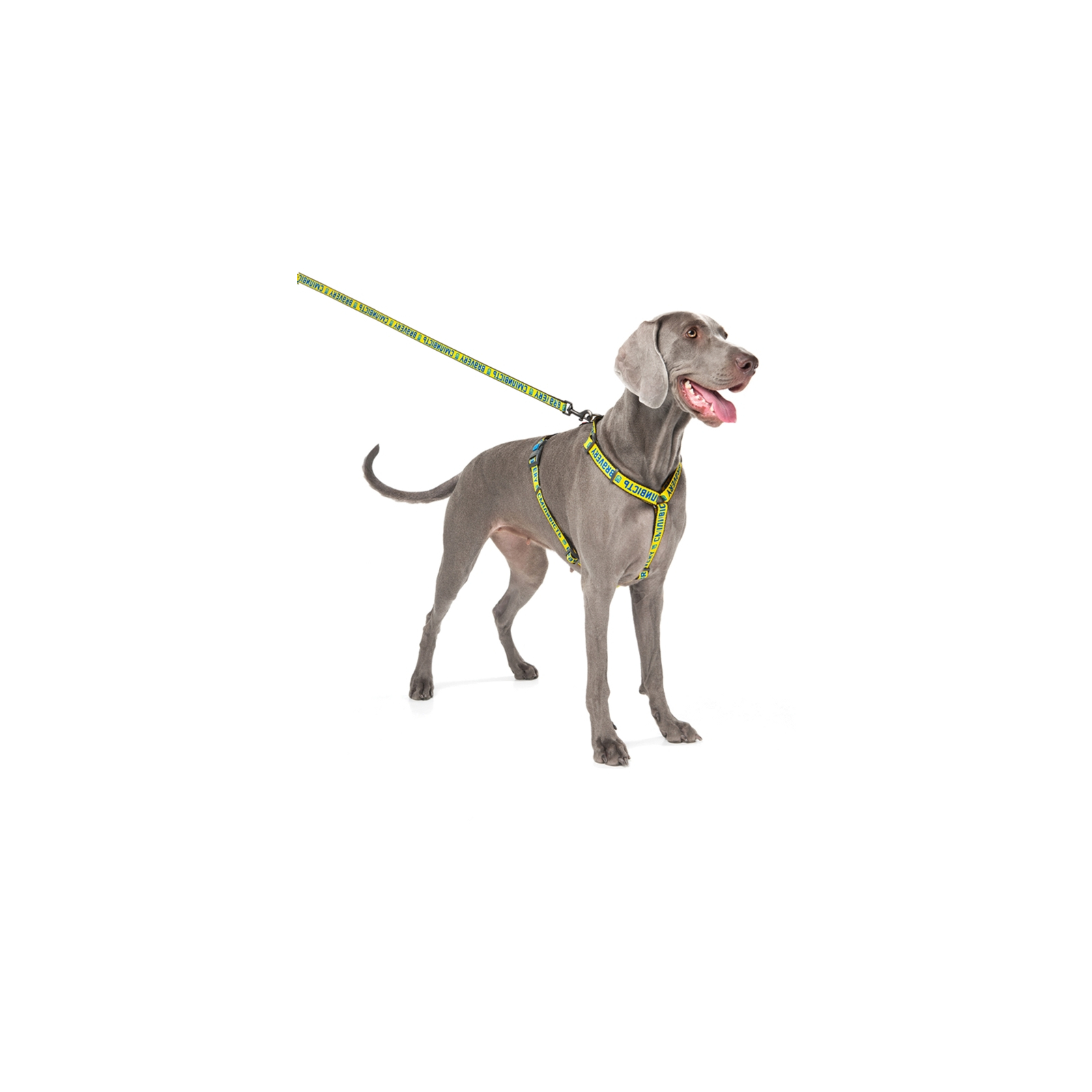 Повідок для собак WAUDOG Nylon "Сміливість" S Ш 15 мм (4915-0231) зображення 6