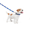 Повідок для собак WAUDOG Nylon "Прапор" L-XXL 25 мм х 122 см (4925-0229) зображення 3