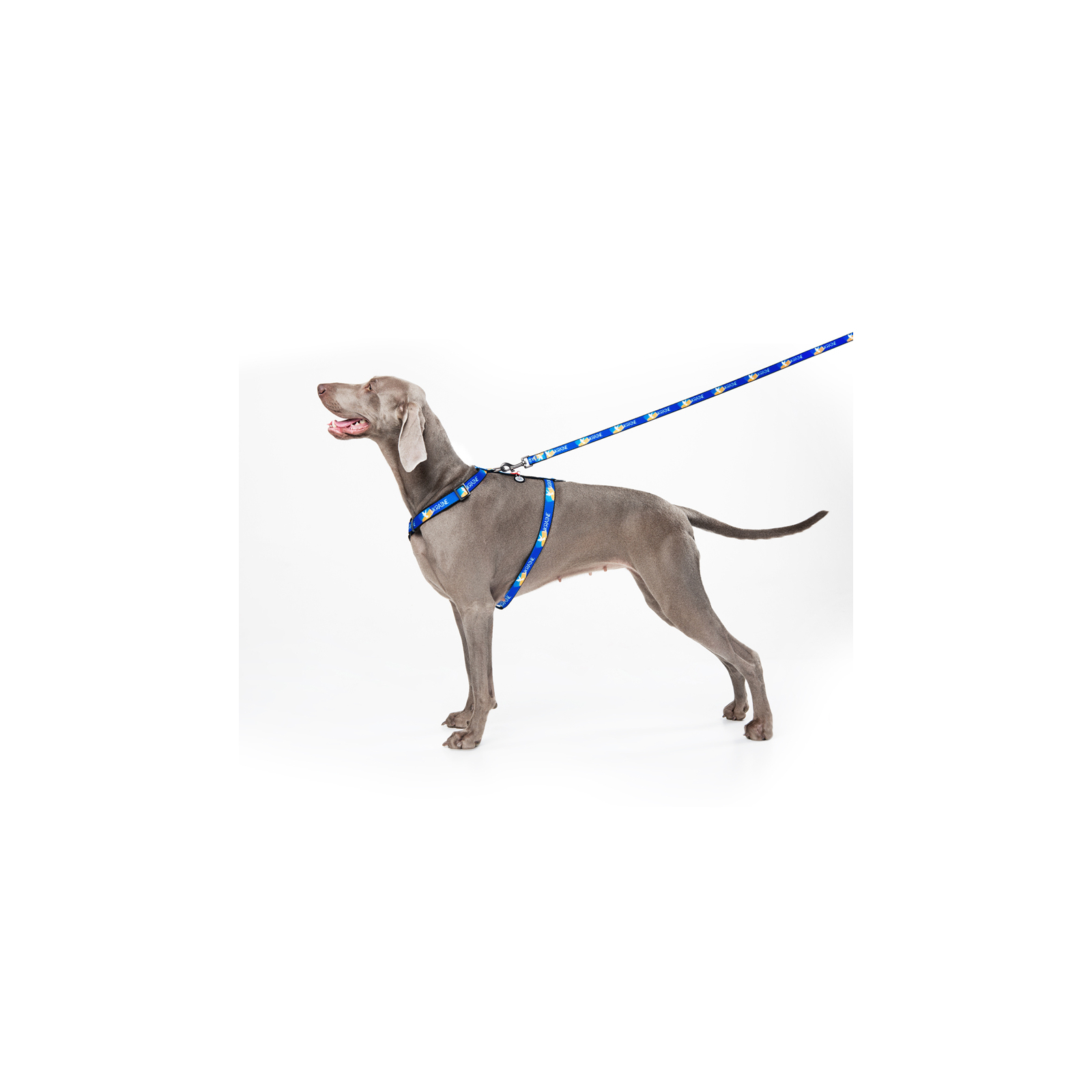 Поводок для собак WAUDOG Nylon "Знамя" L-XXL 25 мм х 122 см (4925-0229) изображение 5