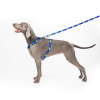 Повідок для собак WAUDOG Nylon "Прапор" L-XXL 25 мм х 122 см (4925-0229) зображення 5
