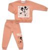 Спортивный костюм детский Smile флисовый (23197-104G-brown)