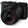 Цифровой фотоаппарат Panasonic Lumix DC-S9 Kit 20-60mm Jet Black (DC-S9KE-K) изображение 12