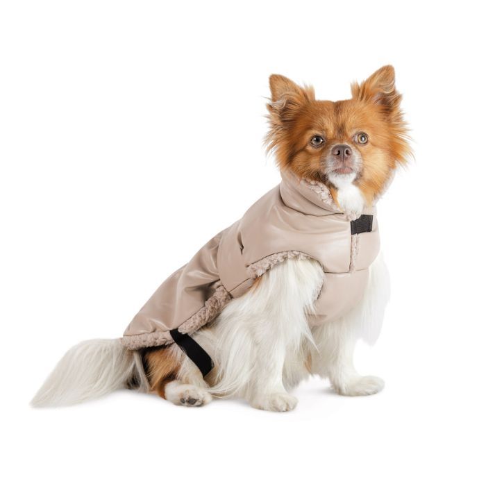 Попона для животных Pet Fashion Mikki М бежевая (4823082443116) изображение 3