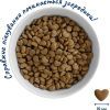 Сухий корм для кішок Home Food With sensitive digestion з ягням та лососем 10 кг (4820235020583) зображення 3