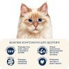 Сухий корм для кішок Home Food With sensitive digestion з ягням та лососем 10 кг (4820235020583) зображення 4