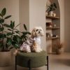 Сукня для тварин Pet Fashion Amelia XS2 (4823082446438) зображення 3
