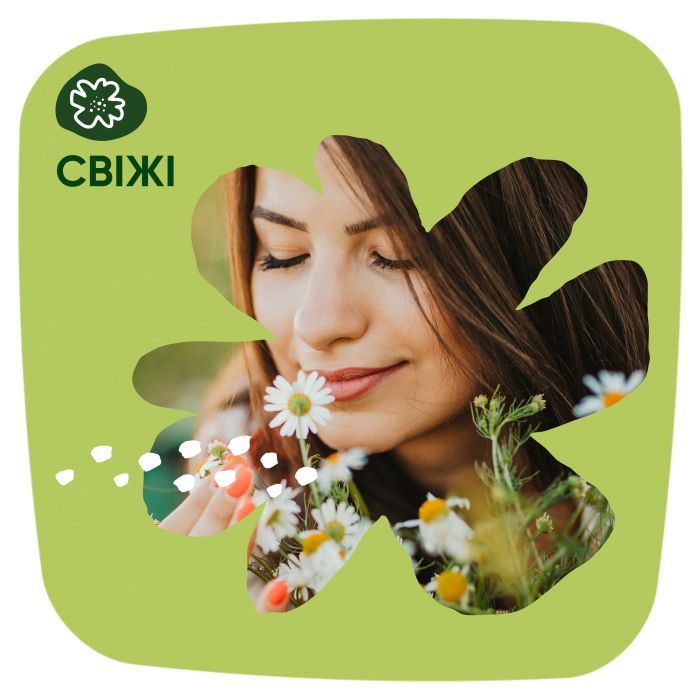 Щоденні прокладки Naturella Camomile Light 100 шт. (8001090603807) зображення 4