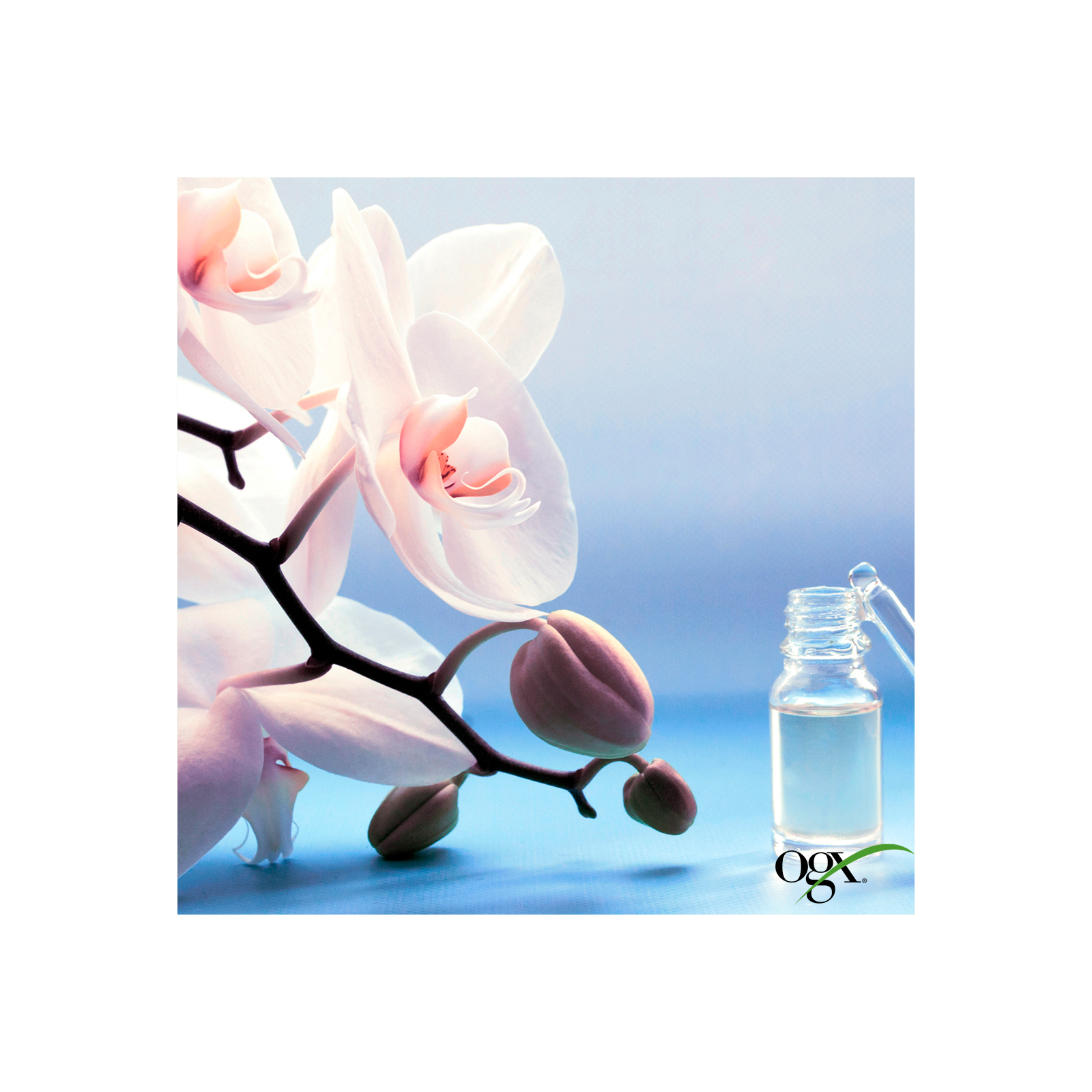 Кондиционер для волос OGX Orchid Oil для защиты цвета окрашенных волос 385 мл (0022796972415) изображение 8