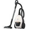 Пилосос Electrolux PD82-ALRG