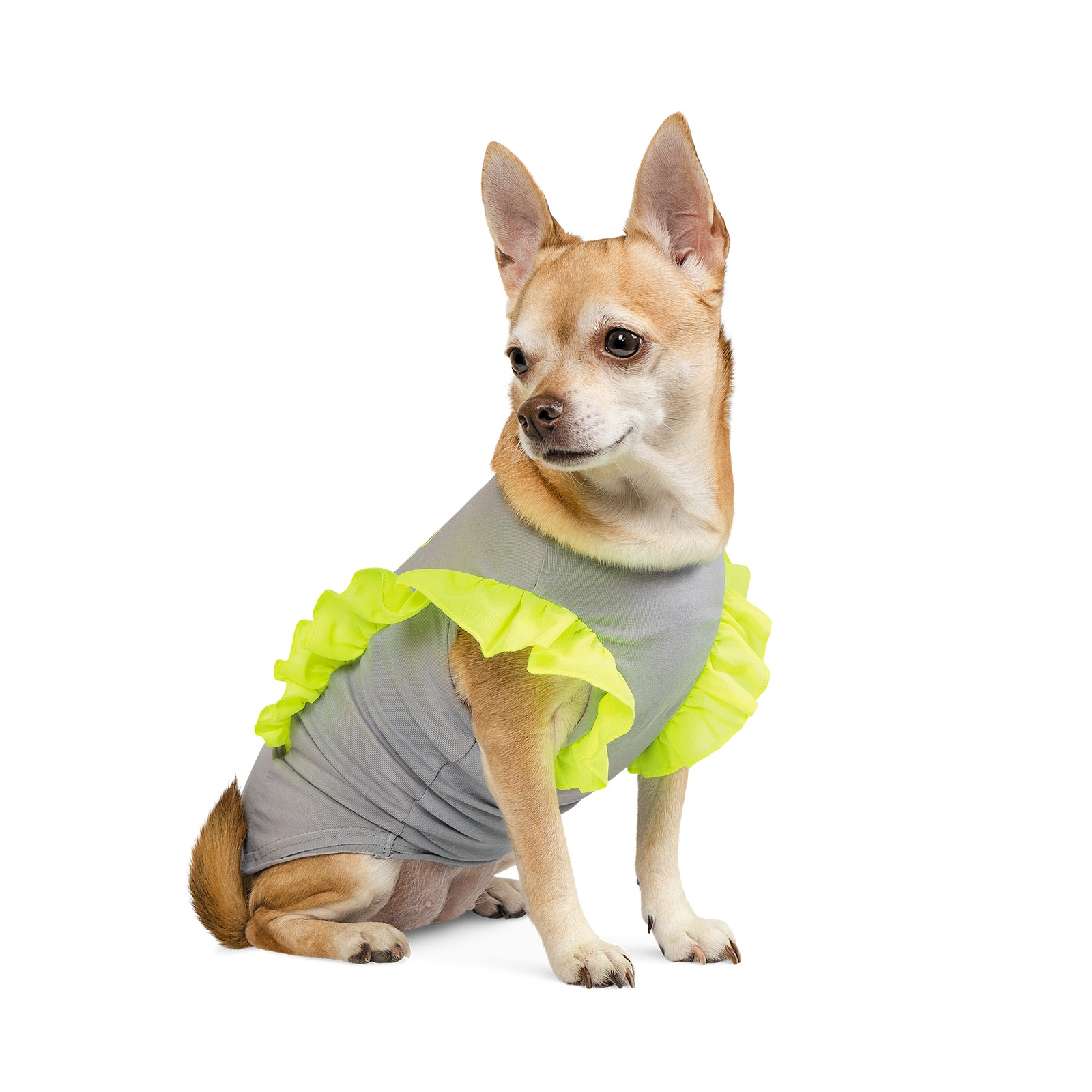 Футболка для животных Pet Fashion "Sunkissed" S серая с желтым (4823082424658) изображение 2