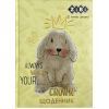 Щоденник шкільний ZiBi Rabbit B5 48 аркушів (ZB.13828)