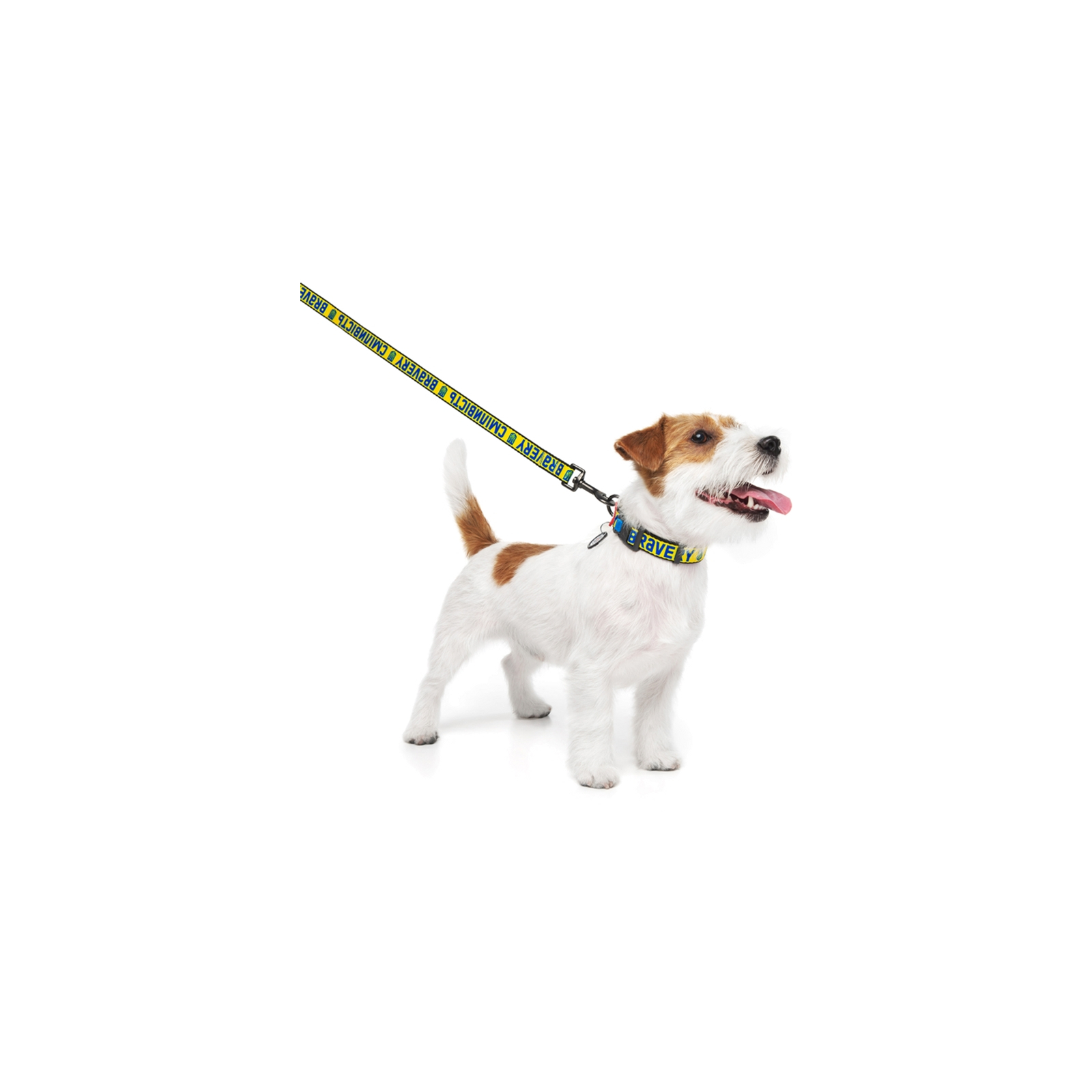 Повідок для собак WAUDOG Nylon "Сміливість" S Ш 15 мм (4915-0231) зображення 3