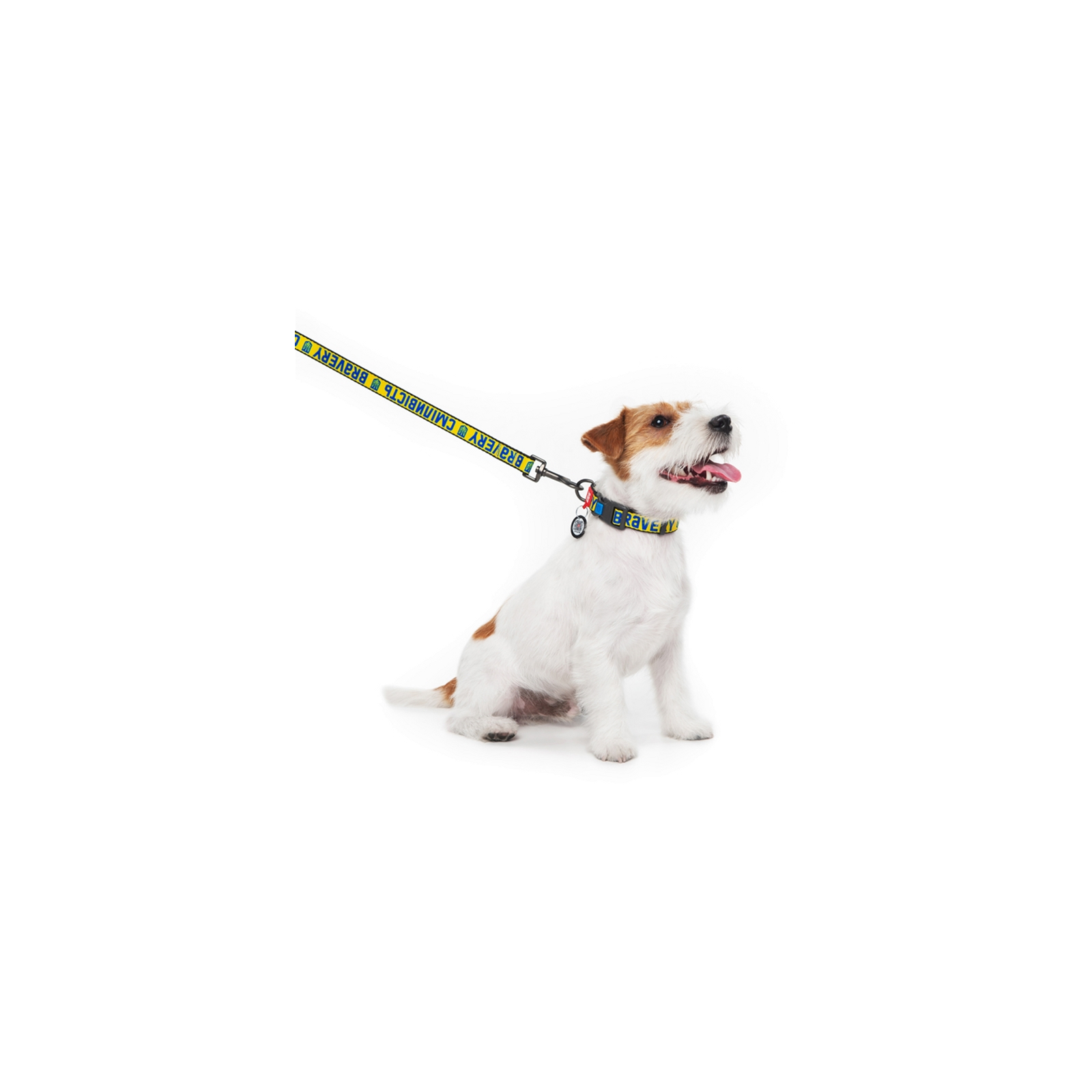 Поводок для собак WAUDOG Нейлон "Кураж" L-XXL Ш 25 мм (4925-0231) изображение 4