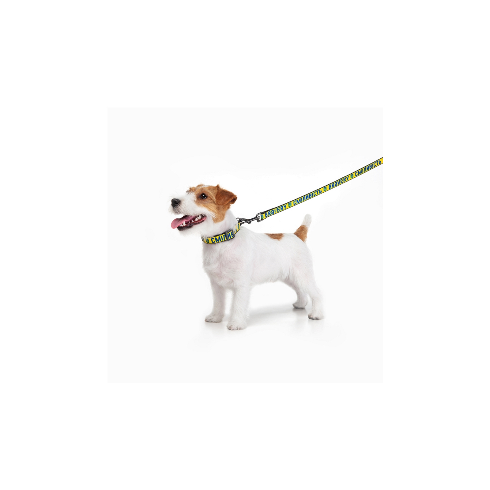 Повідок для собак WAUDOG Nylon "Сміливість" S Ш 15 мм (4915-0231) зображення 5