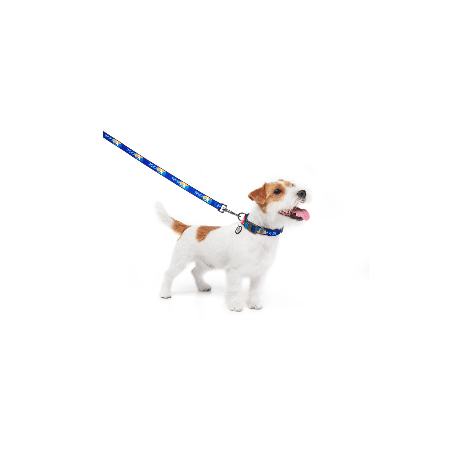Повідок для собак WAUDOG Nylon "Прапор" М 20 мм х 122 см (4920-0229) зображення 3