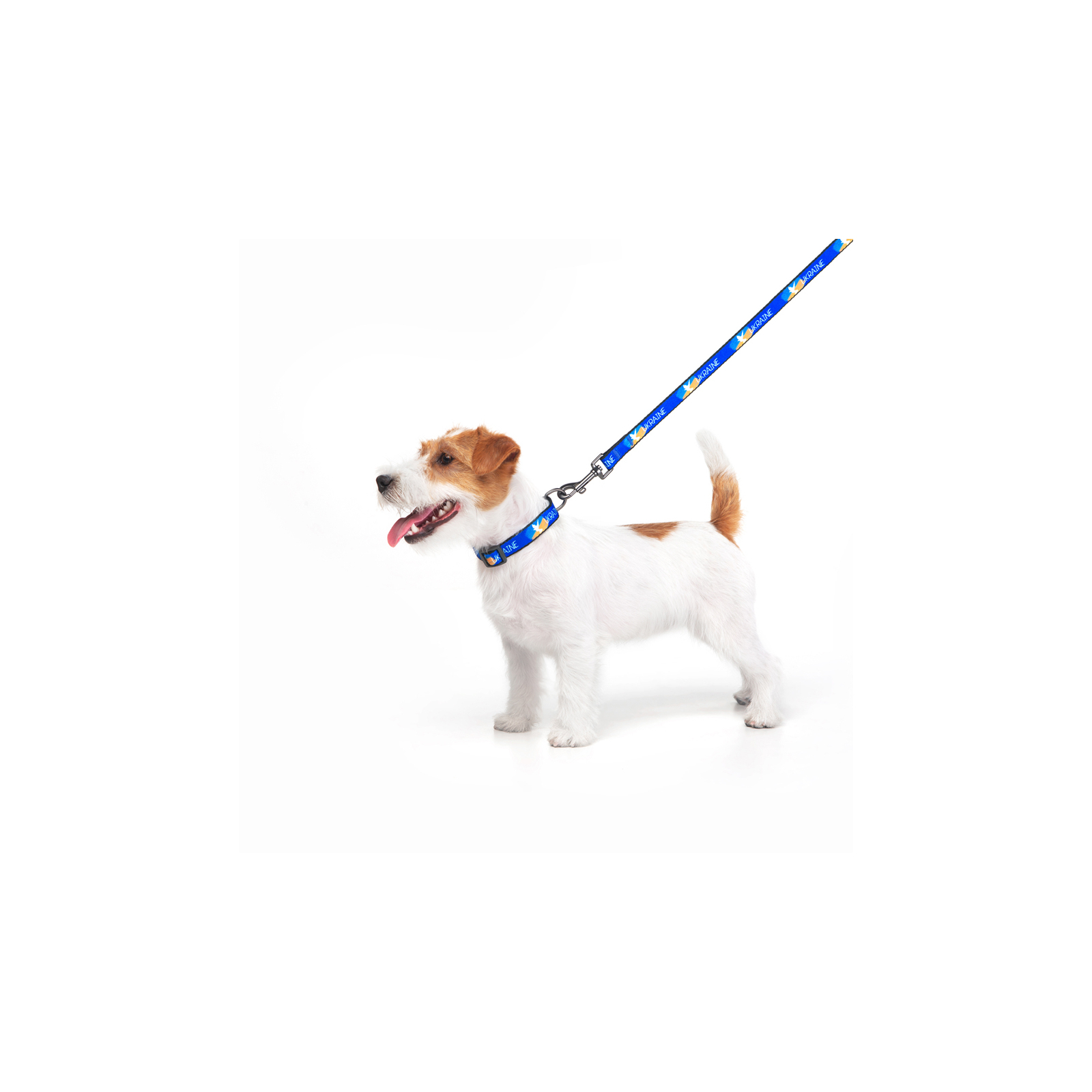 Поводок для собак WAUDOG Nylon "Знамя" L-XXL 25 мм х 122 см (4925-0229) изображение 4