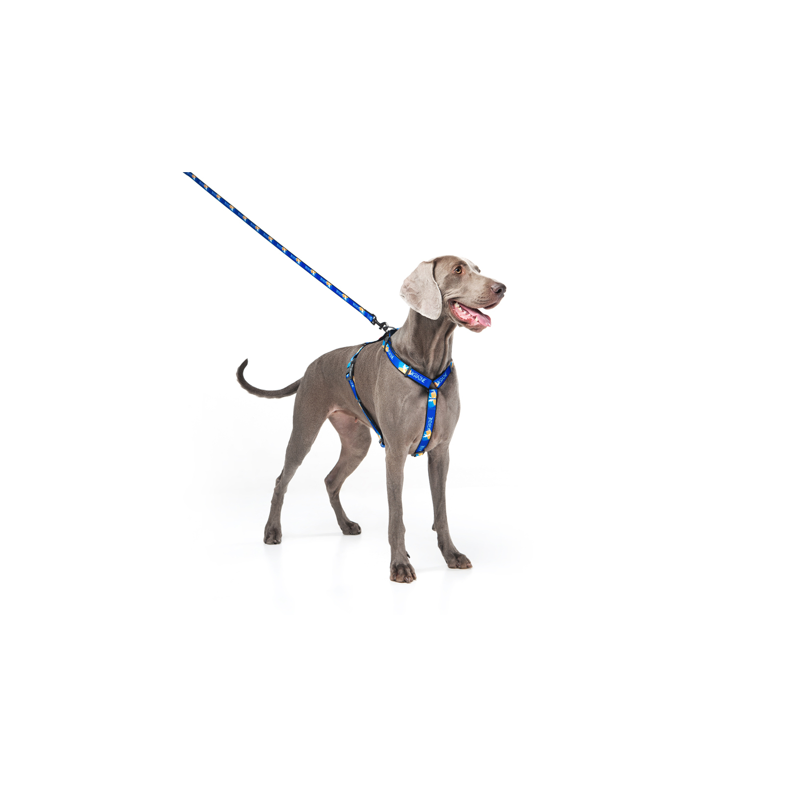 Поводок для собак WAUDOG Nylon "Знамя" L-XXL 25 мм х 122 см (4925-0229) изображение 6