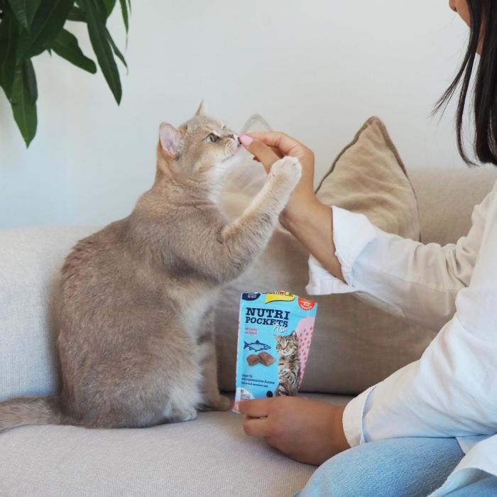 Ласощі для котів GimCat Nutri Pockets Fish Лосось 60 г (4002064419626) зображення 3