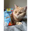 Ласощі для котів GimCat Nutri Pockets Fish Лосось 60 г (4002064419626) зображення 7