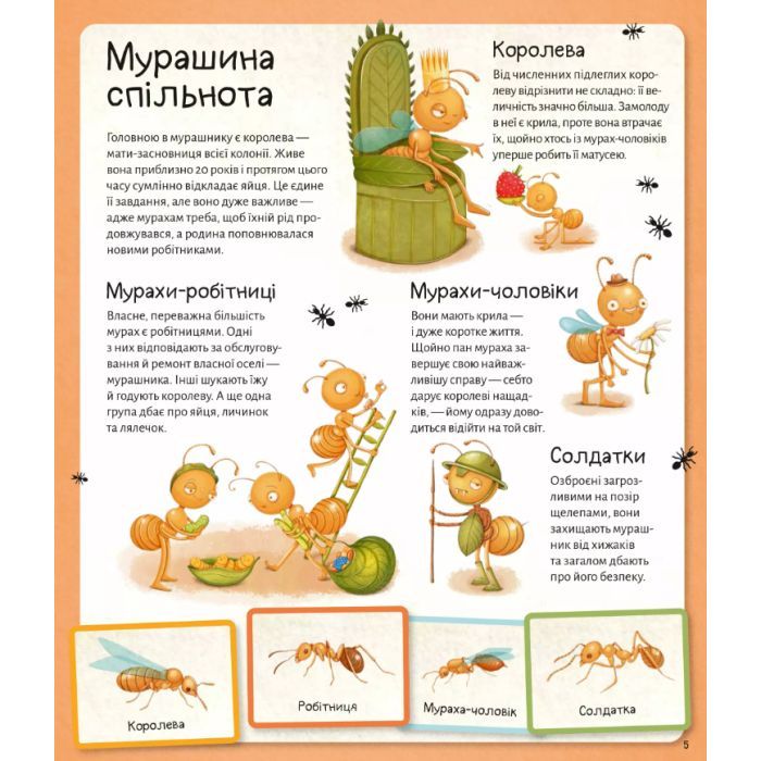 Книга Світ мурах - Штєпанка Секанінова Vivat (9786171703186) изображение 6