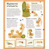 Книга Світ мурах - Штєпанка Секанінова Vivat (9786171703186) изображение 6